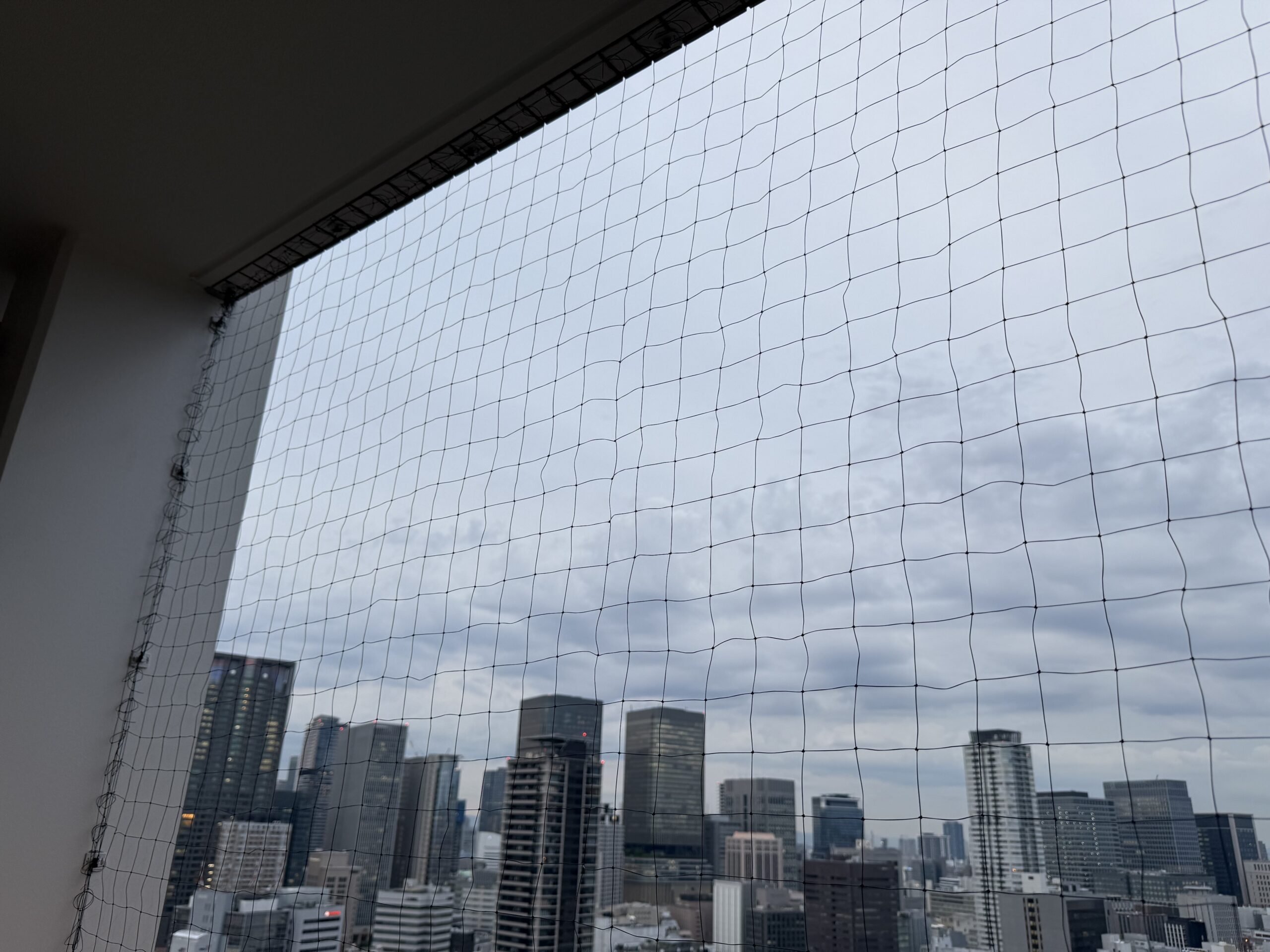 ハト対策